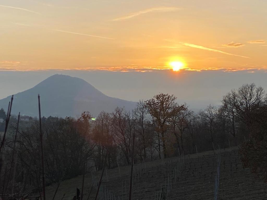 Lodge Villa Maria Teolo Zewnętrze zdjęcie